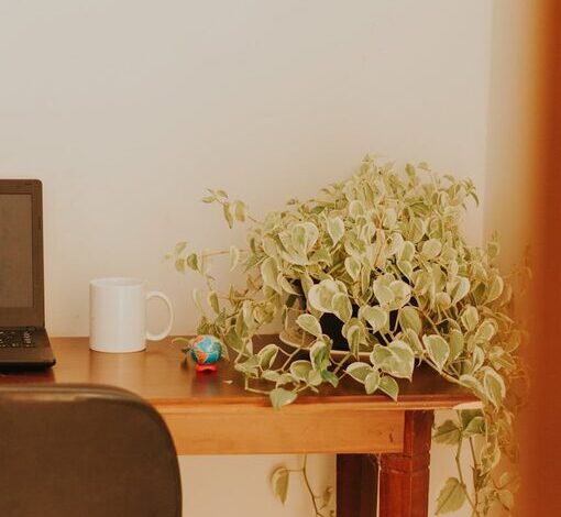 Tips for Creating a Cozy and Inviting Home Workspace