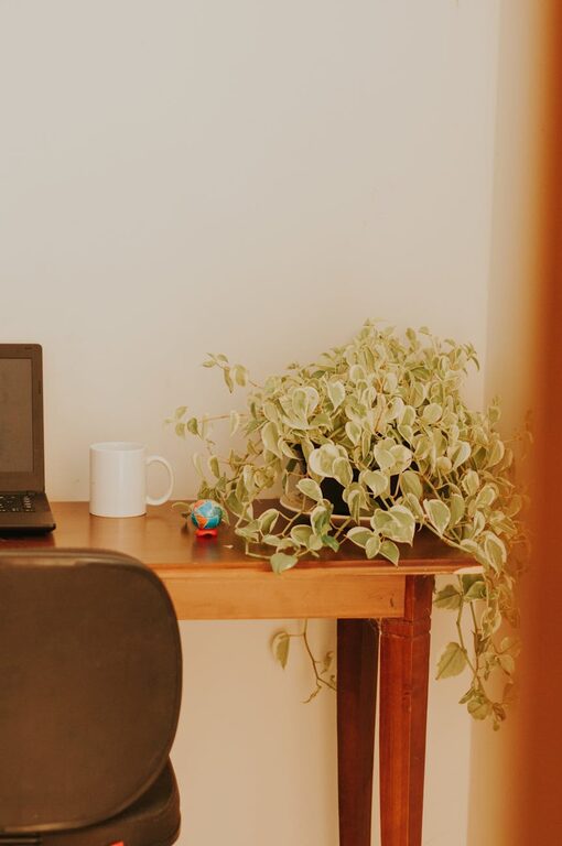 Tips for Creating a Cozy and Inviting Home Workspace